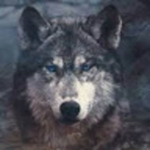 Meet your Posher, Scotty